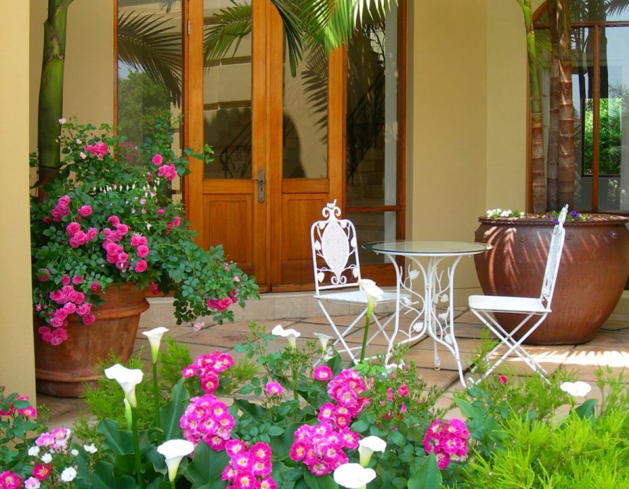 Roses for small spaces
