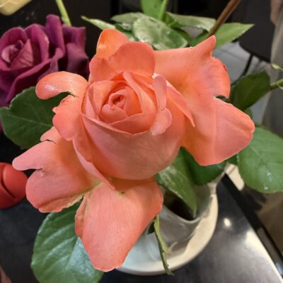 Lymphie Love – LUDsannaduft